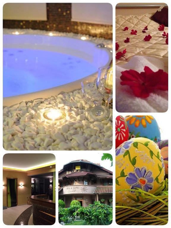 Guesthouse Villa Stević Veliko Gradište Eksteriør billede