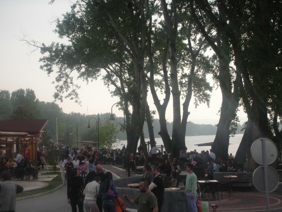 Guesthouse Villa Stević Veliko Gradište Eksteriør billede